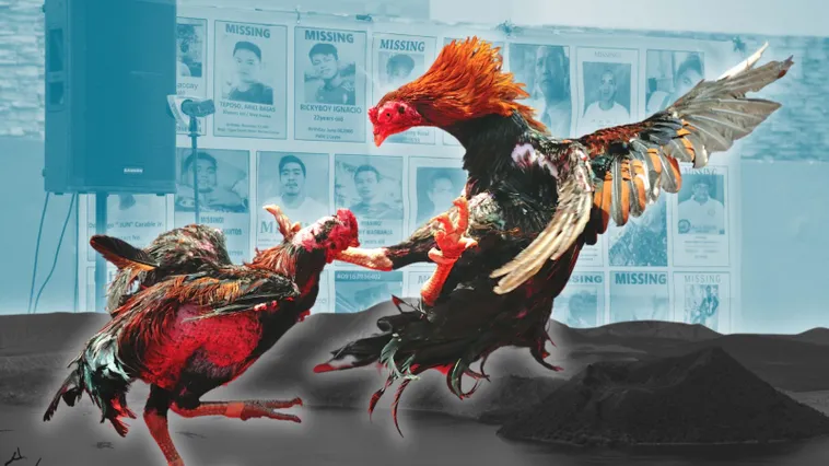 Bí Kíp Soi Kèo Cách Chơi Đá Gà Sabong Tại Tinycat99 2 Bí Kíp Soi Kèo Cách Chơi Đá Gà Sabong Tại Tinycat99