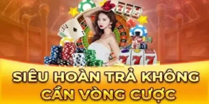 Chính Sách Hoàn Trả Không Giới Hạn Tại Nhà Cái Tinycat99 2025